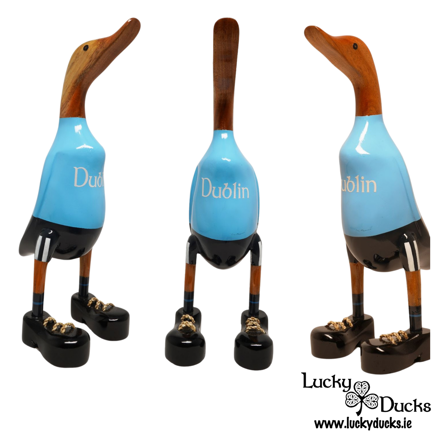 Dublin Duck