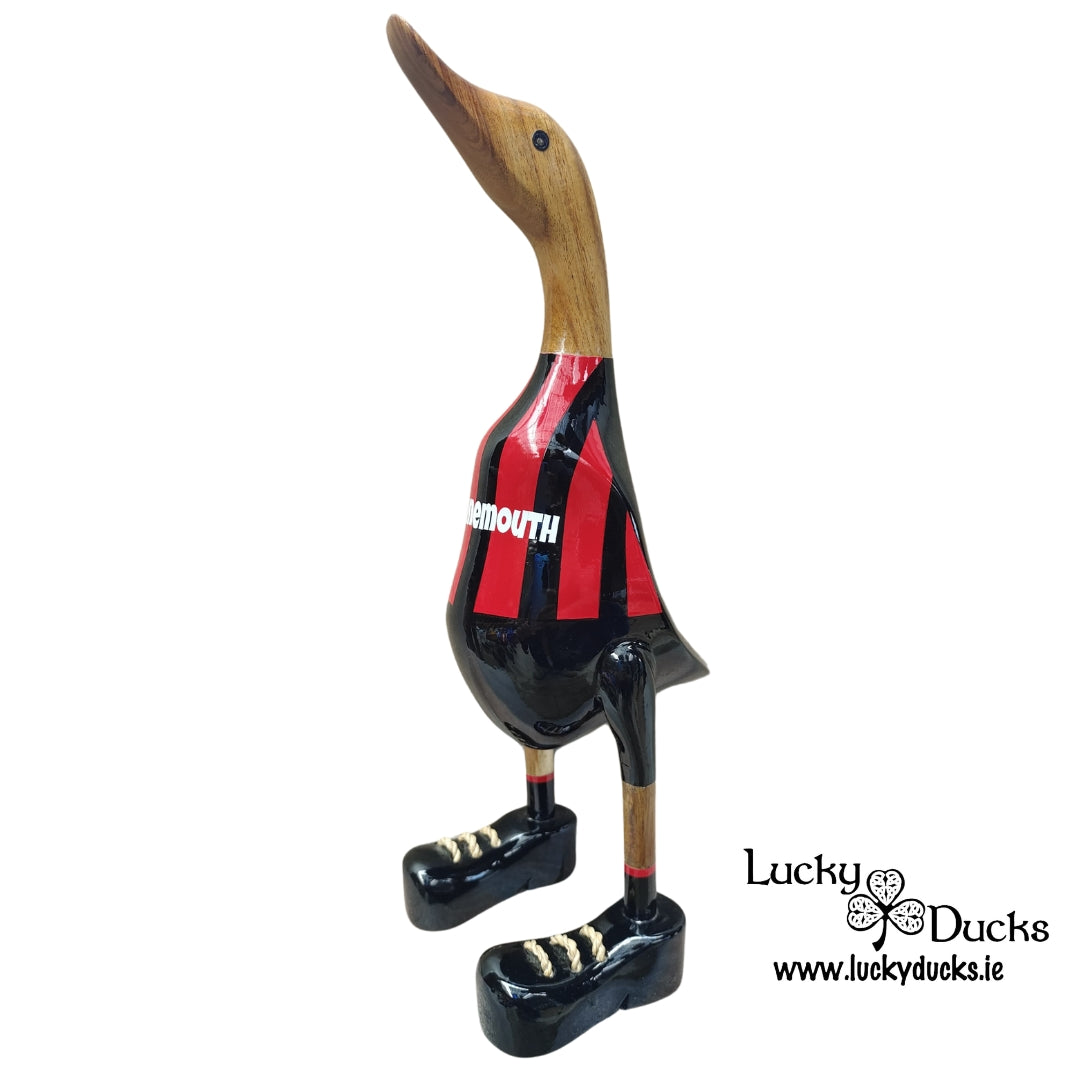 Bournemouth Duck