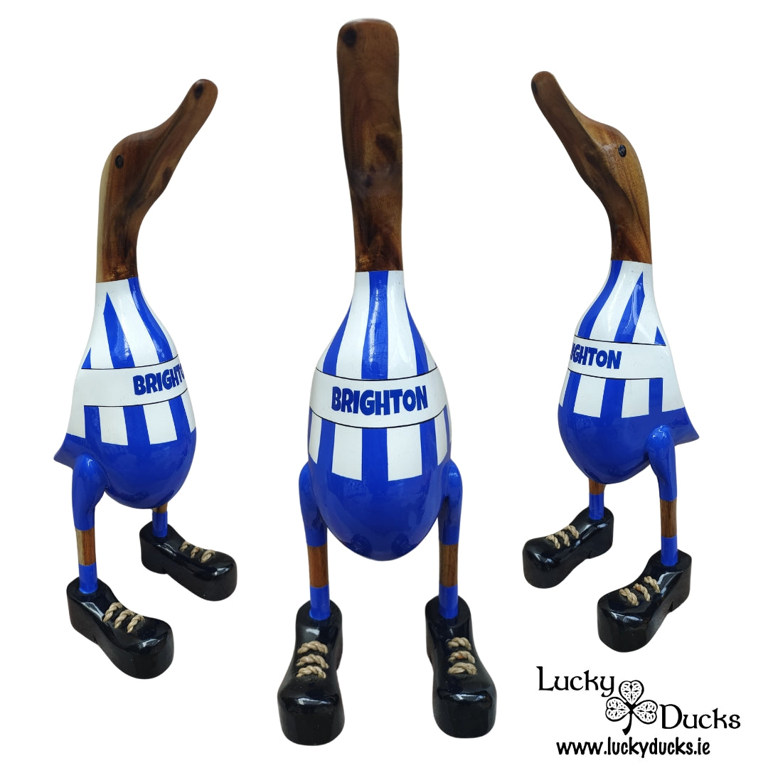 Brighton Duck