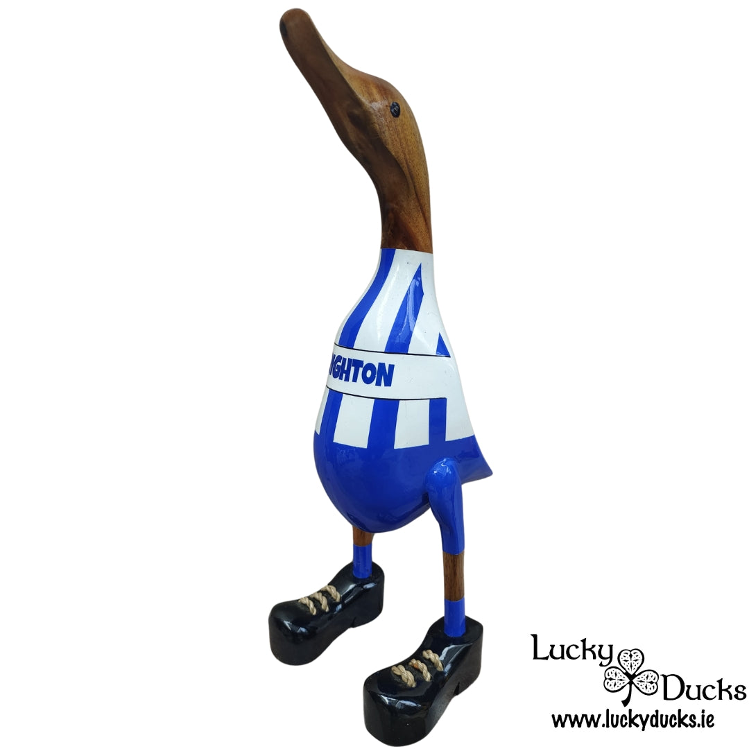 Brighton Duck