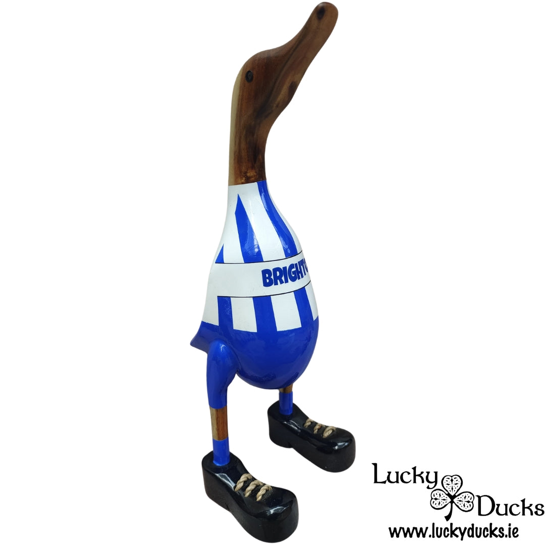 Brighton Duck