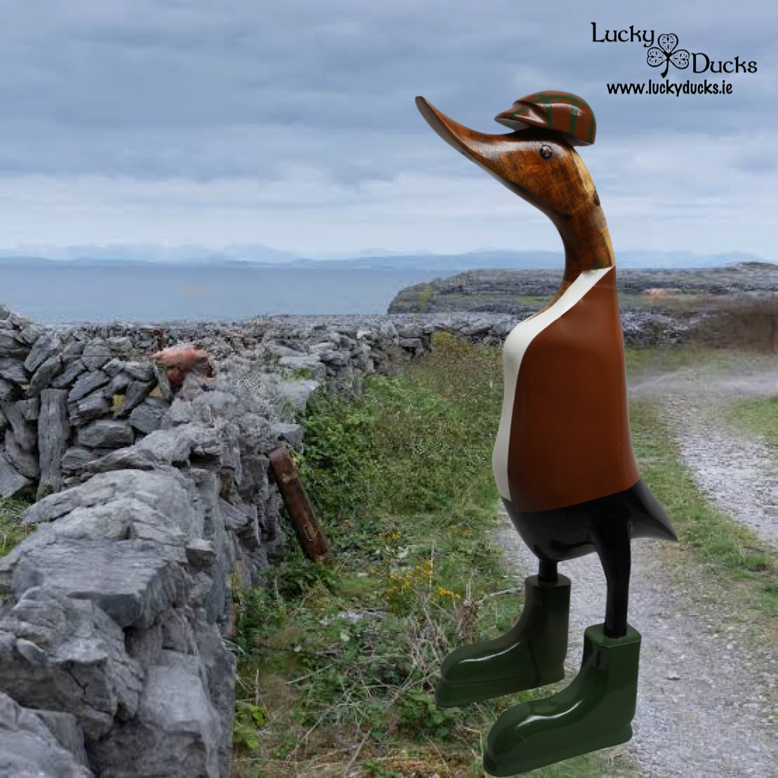 Farmer Duck