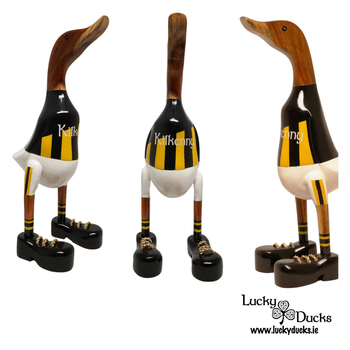 Kilkenny Duck