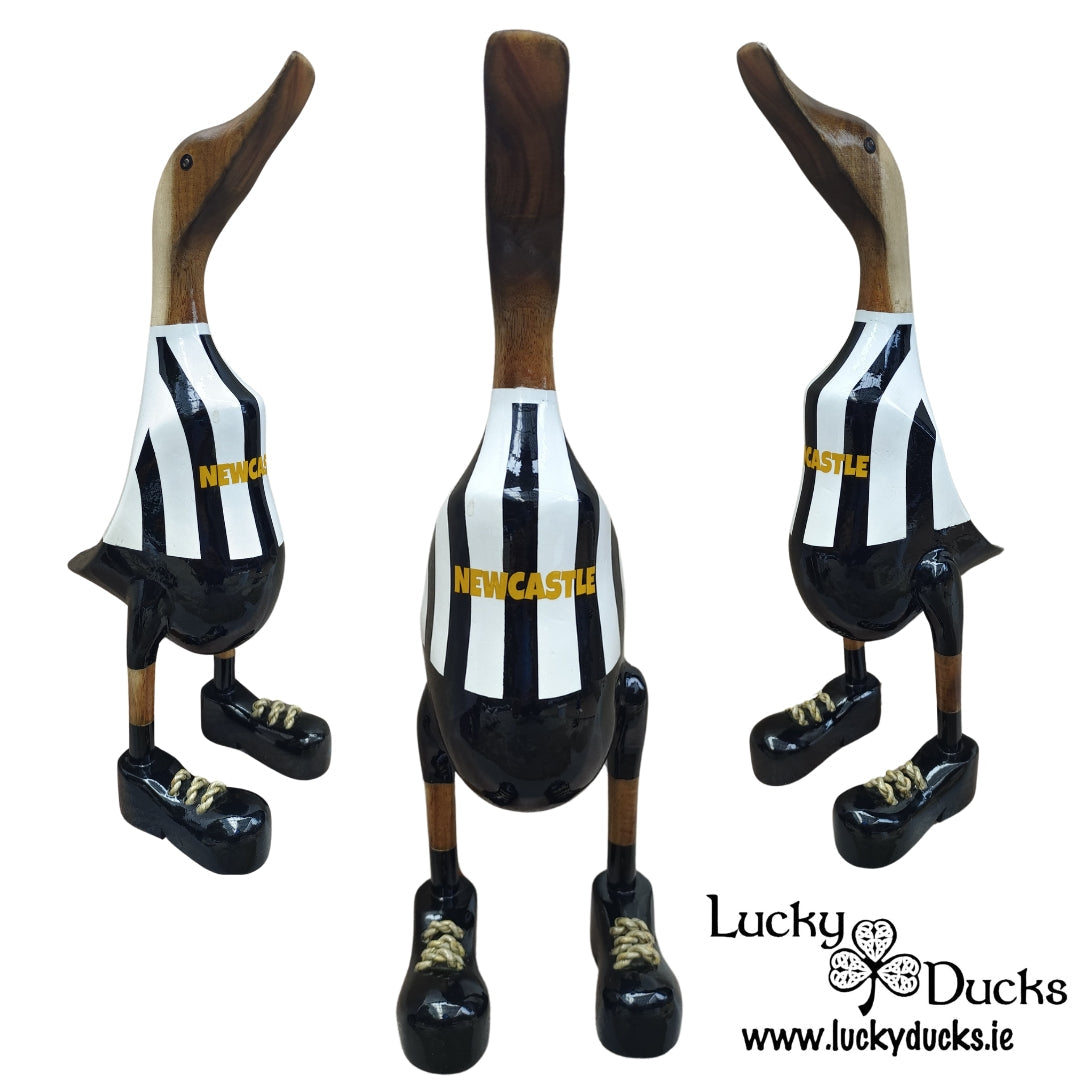 Newcastle Duck