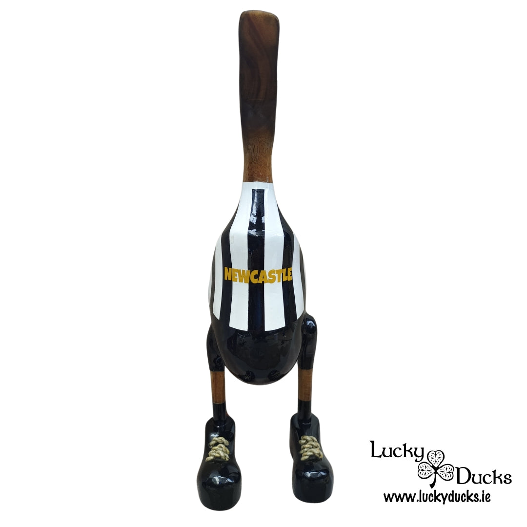 Newcastle Duck