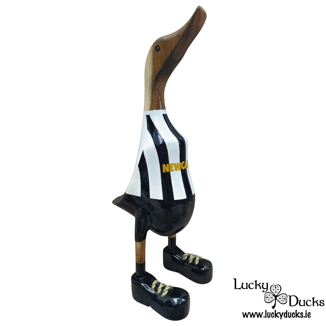 Newcastle Duck