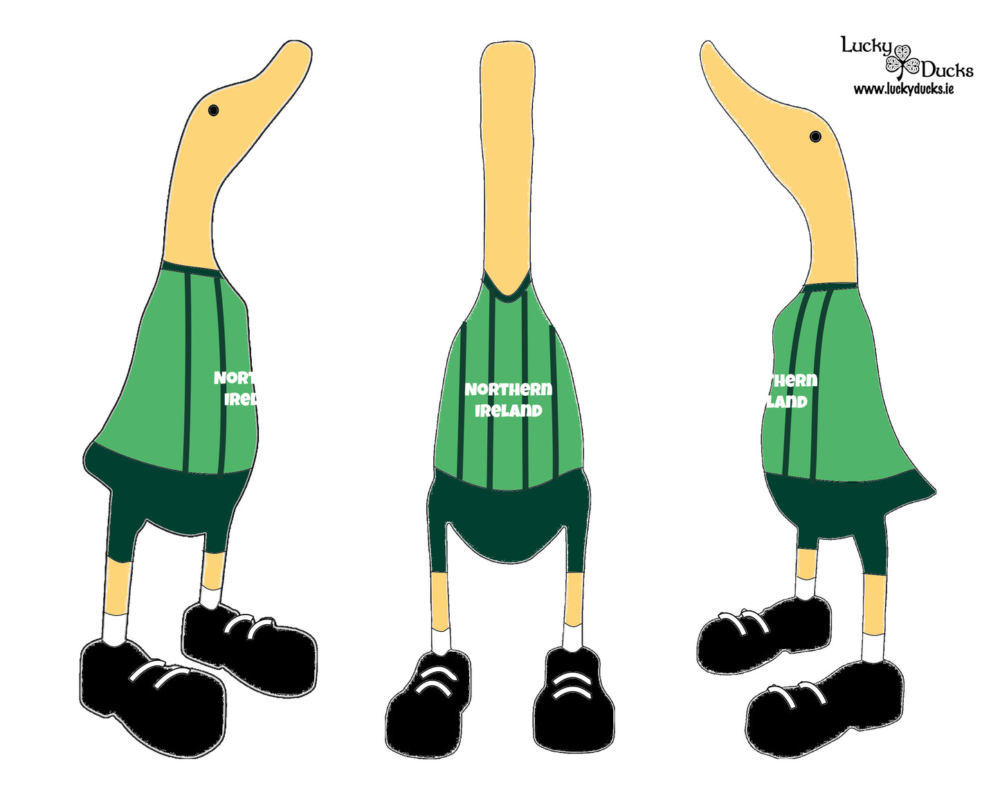 Northern Ireland Duck