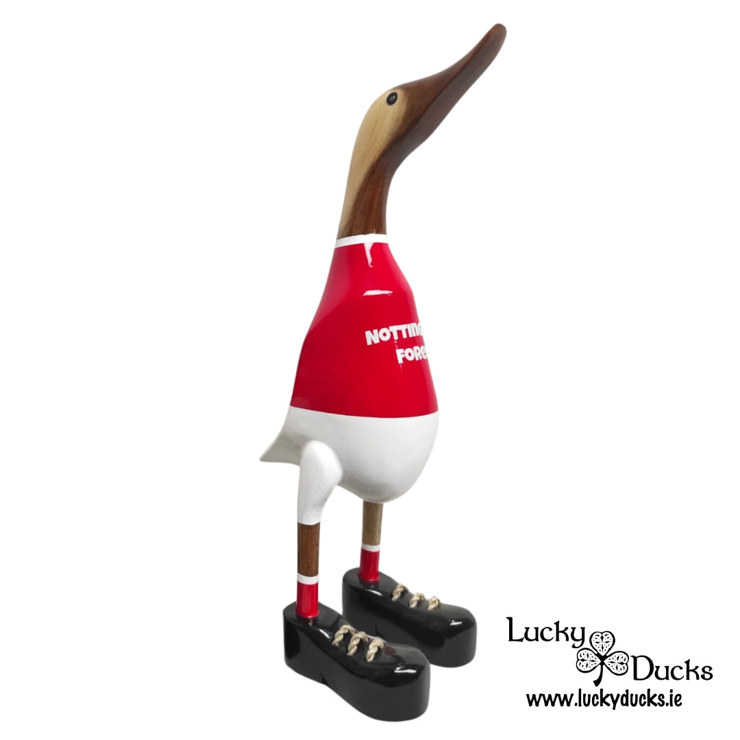 Nottingham Forest Duck