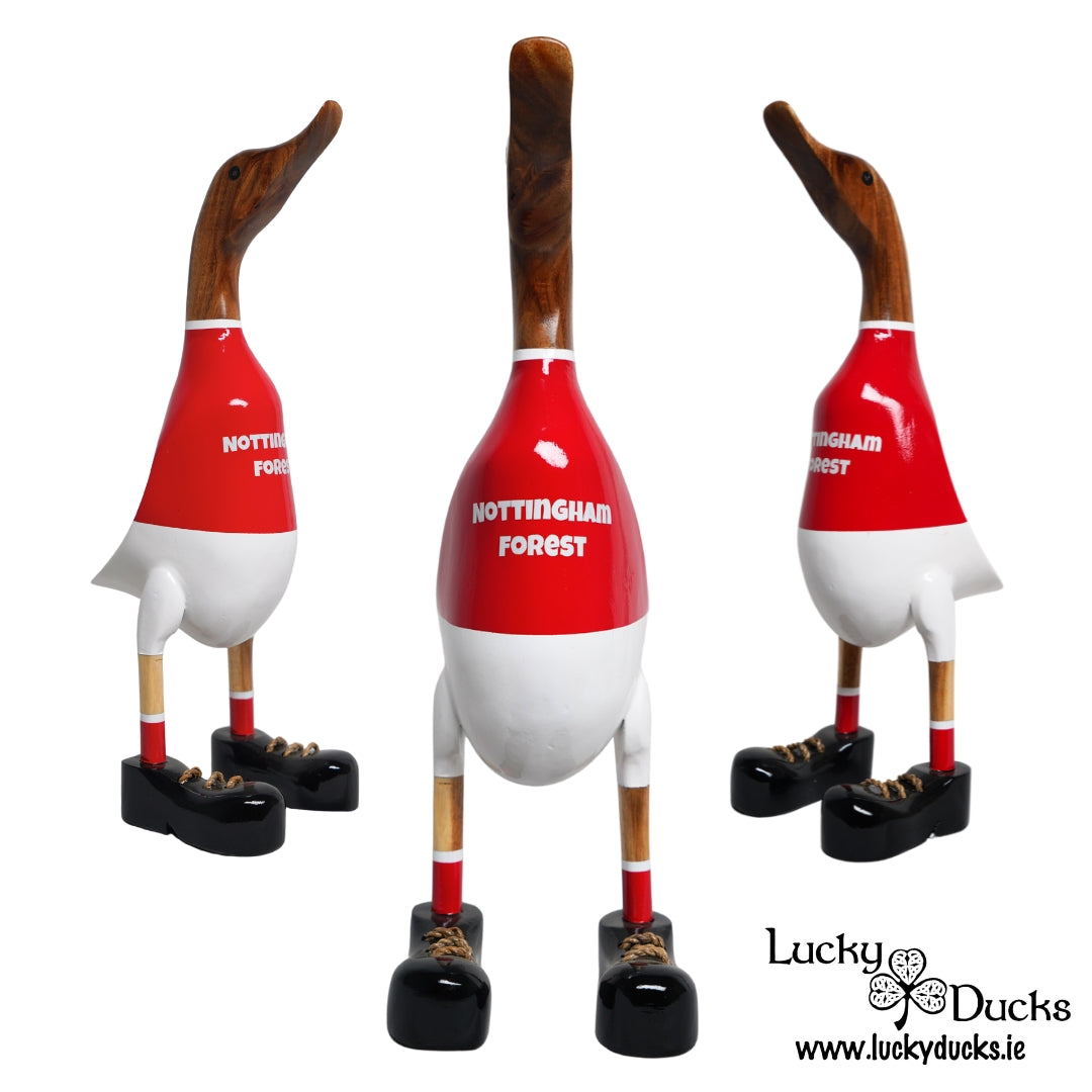 Nottingham Forest Duck