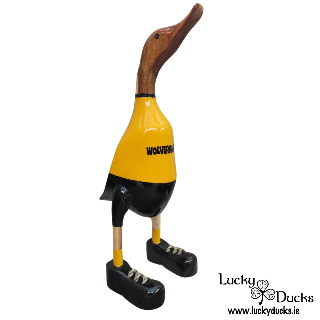 Wolverhampton Duck