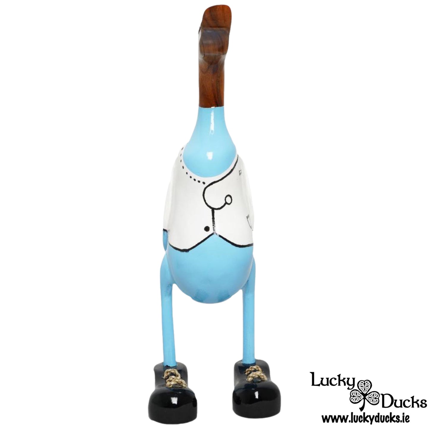 Doctor Duck