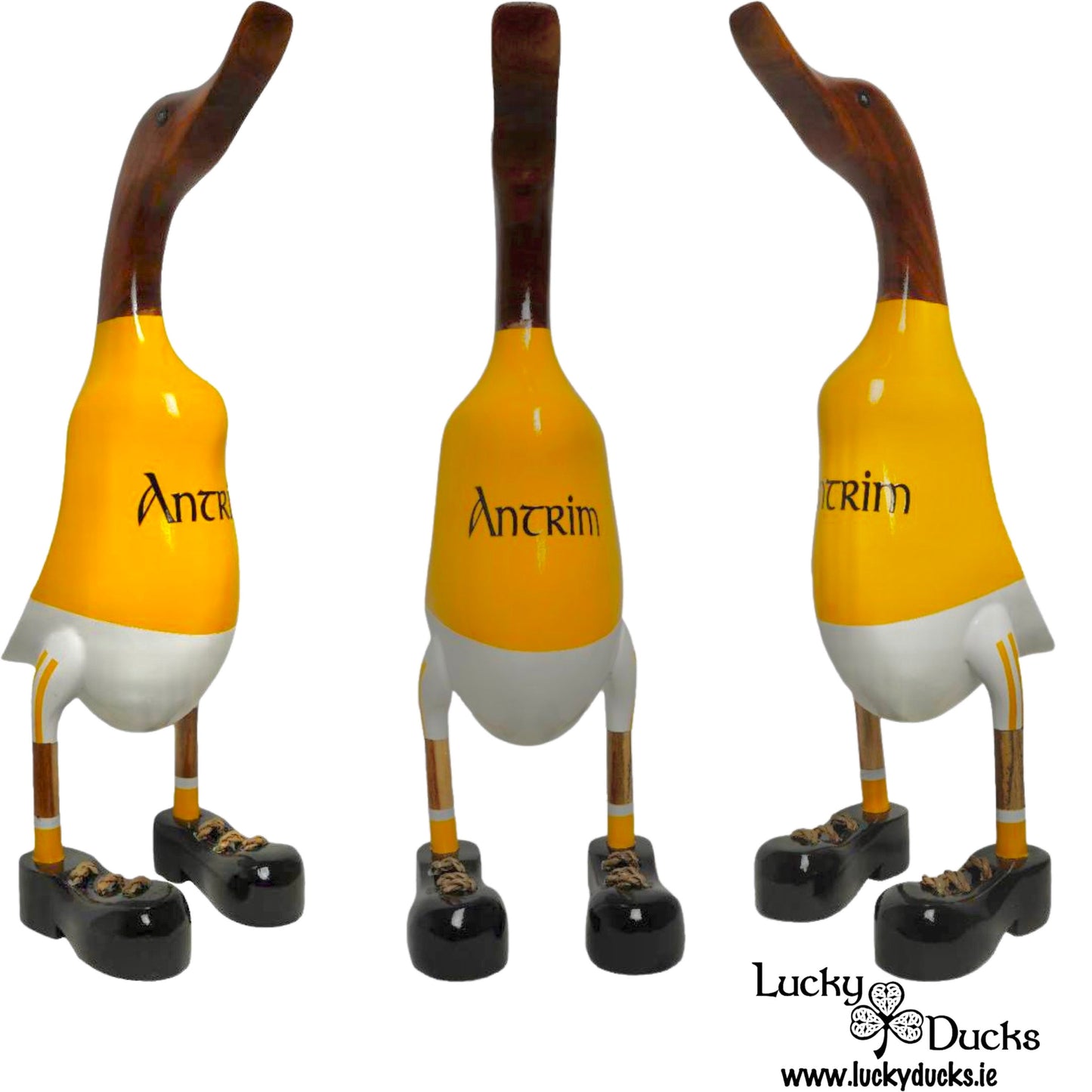 Antrim Duck