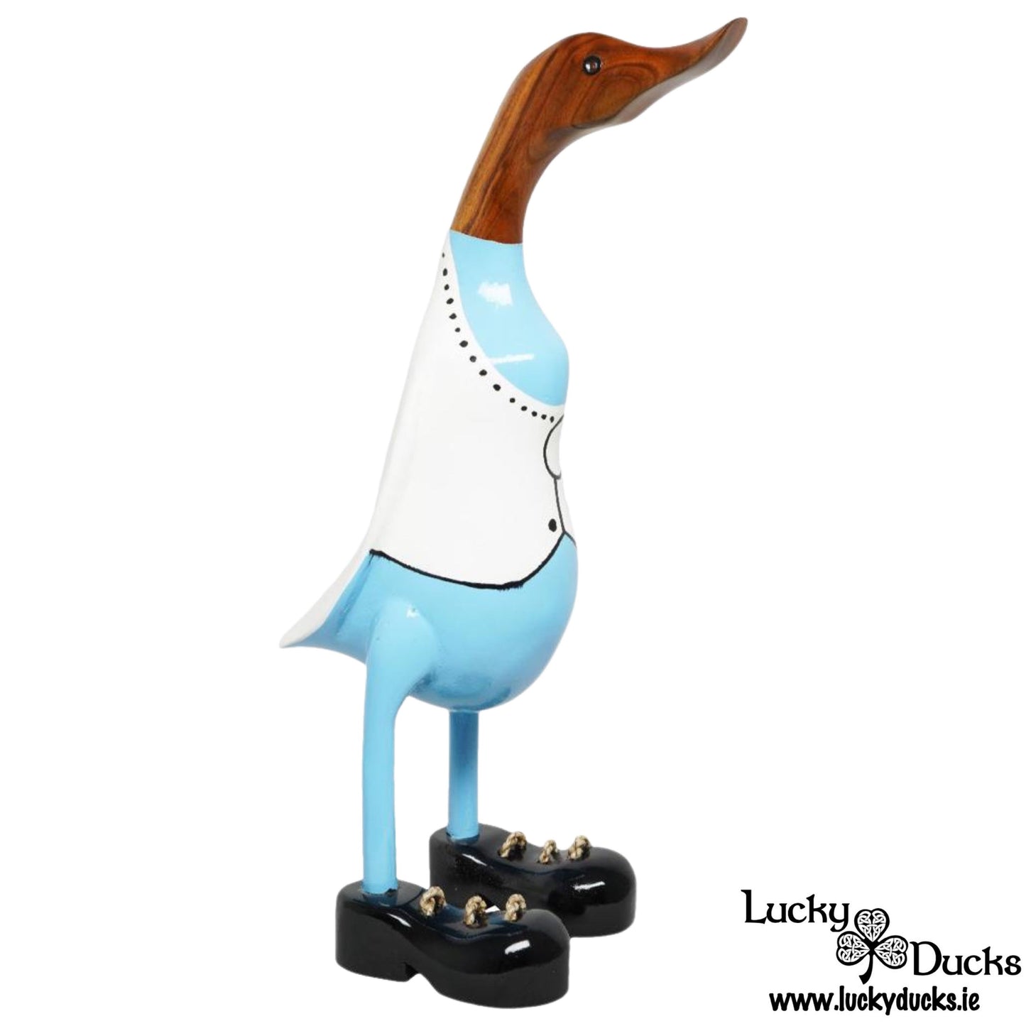 Doctor Duck