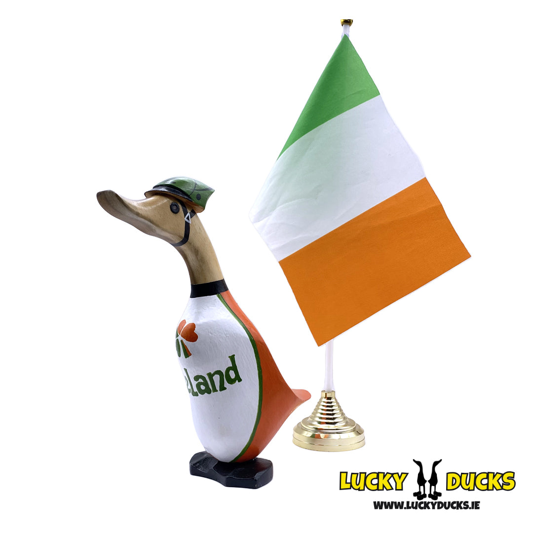 Irish cycling duckling