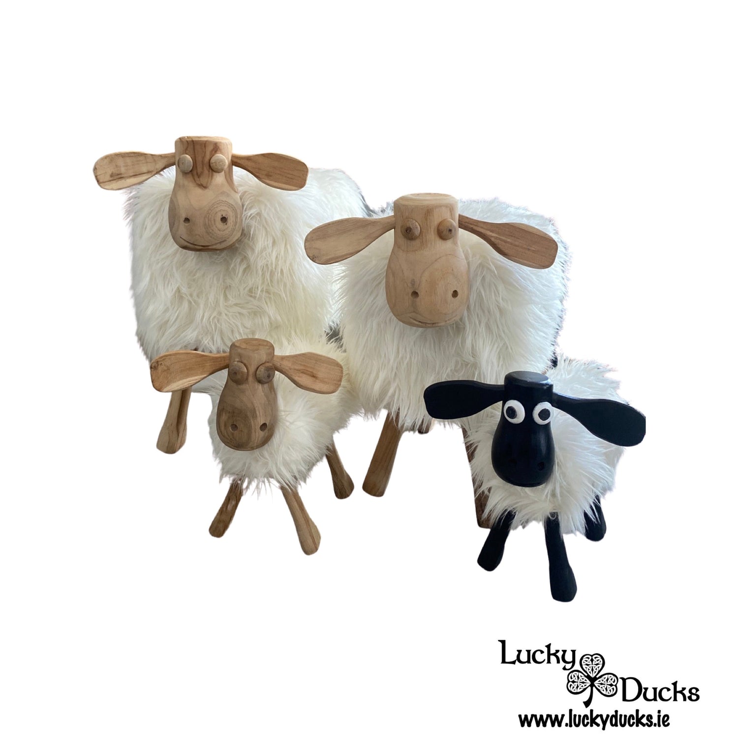 Lucky The Sheep