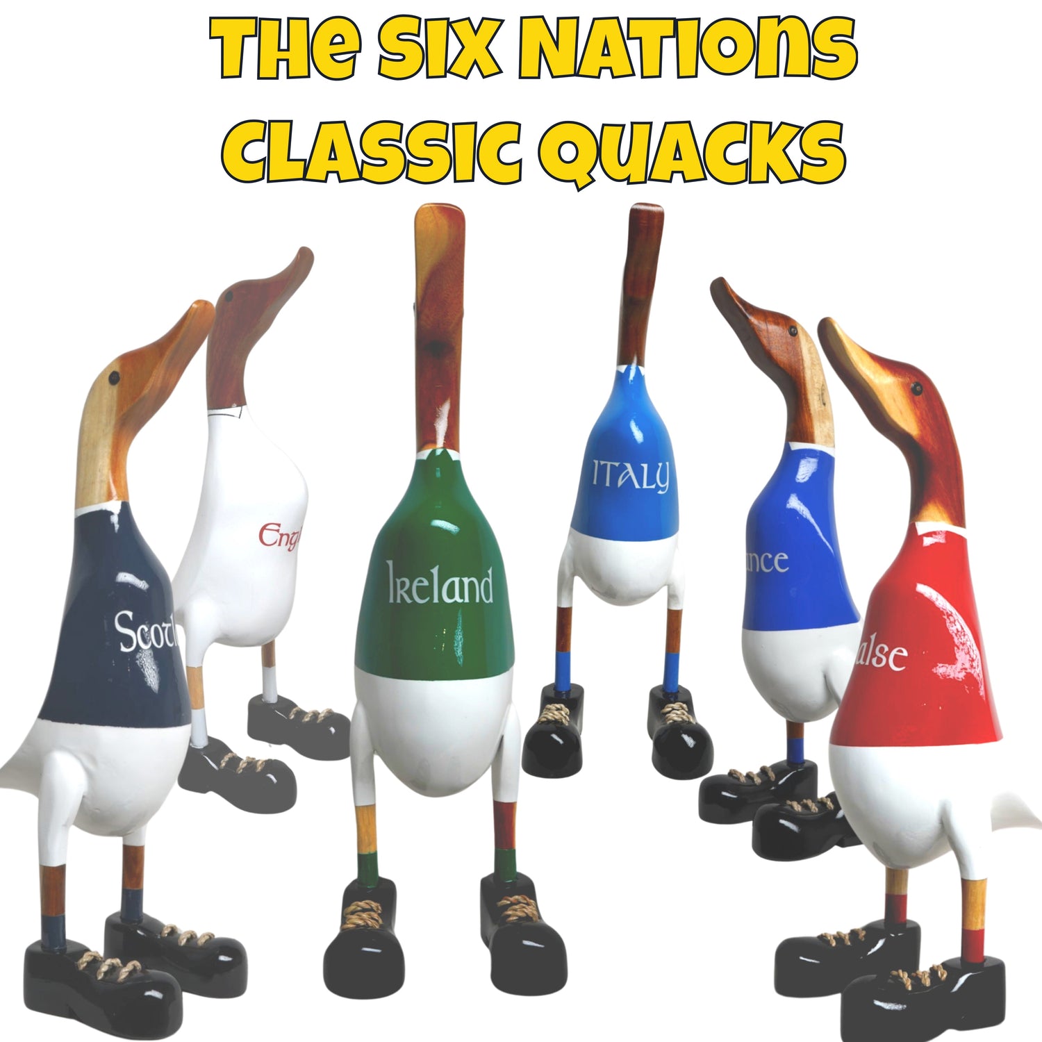 Rugby Ducks Collection