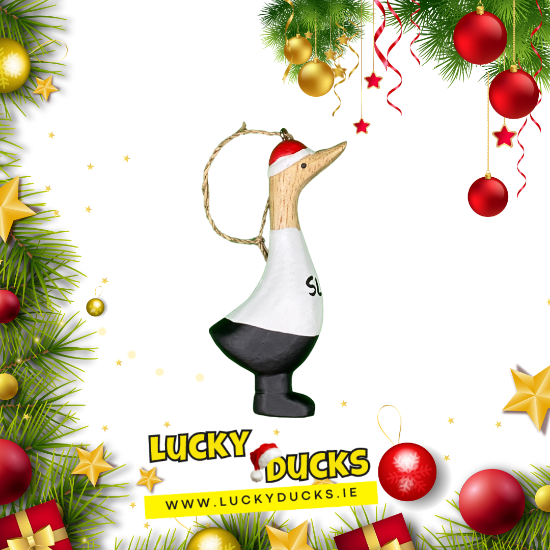Sligo quacking Christmas set