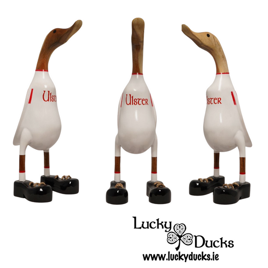 Ulster Duck