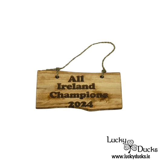 "All Ireland Champions 2024" Funny Duck