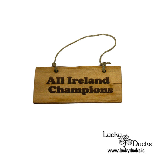 "All Ireland Champions" Funny Duck