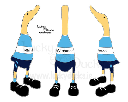 Allenwood Custom Quack