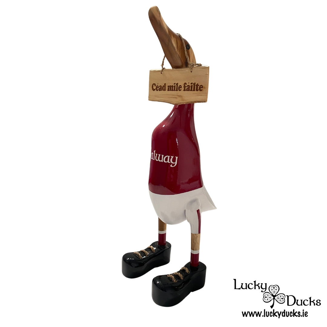 " Cead Mile Failte " Duck sign