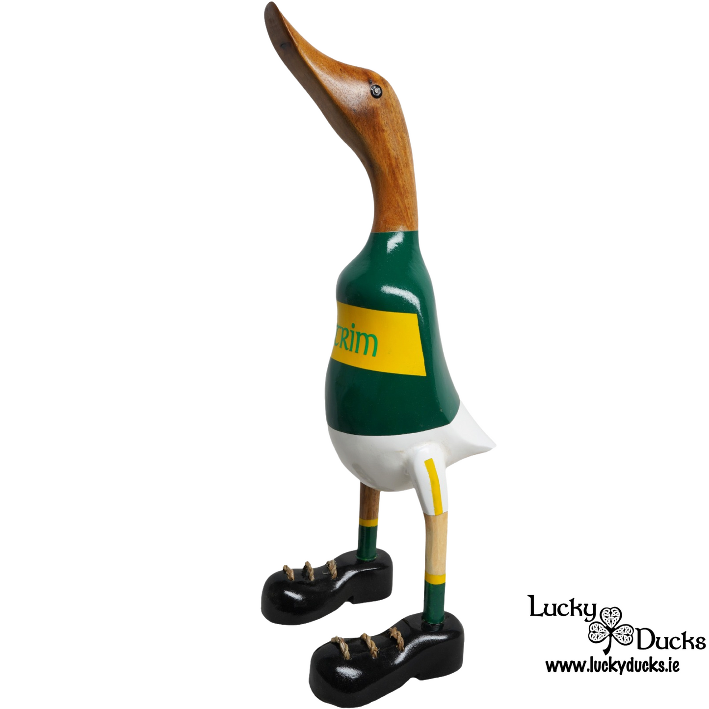 Leitrim Duck