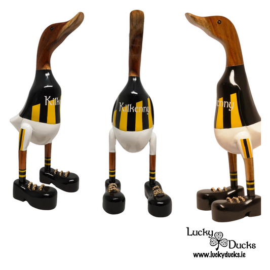 Kilkenny Duck