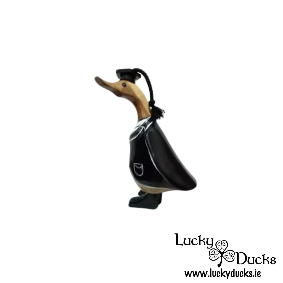 Graduation Duckling