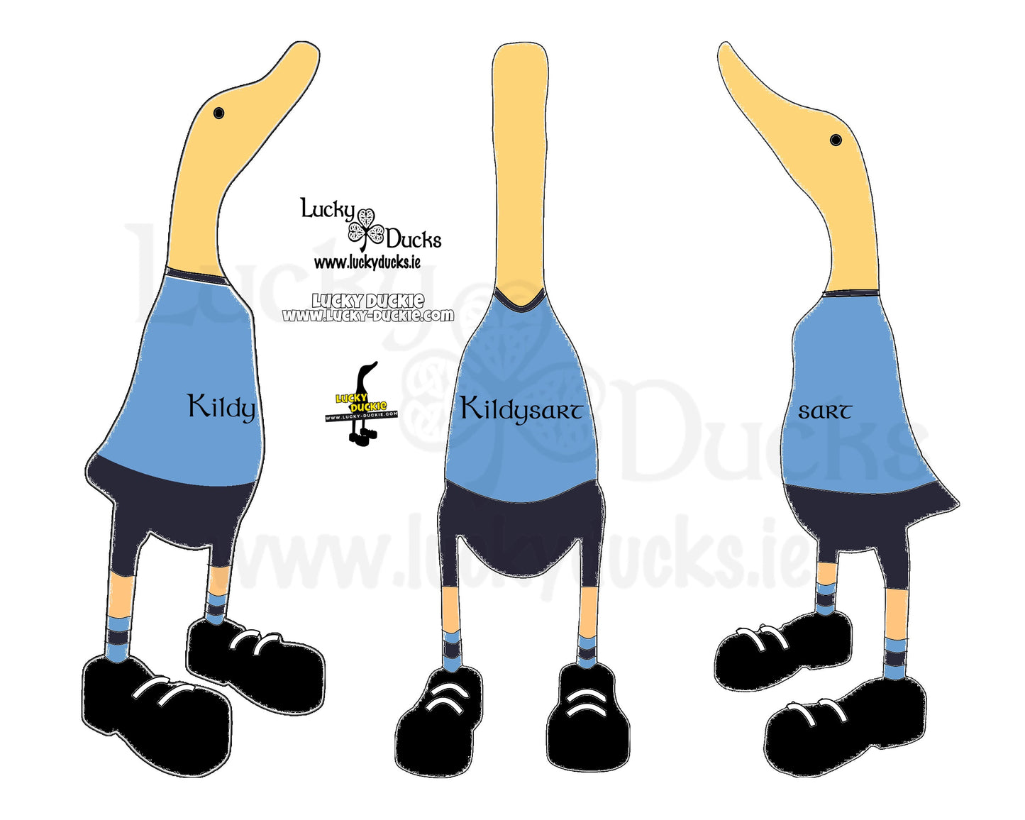 Kildysart Duck