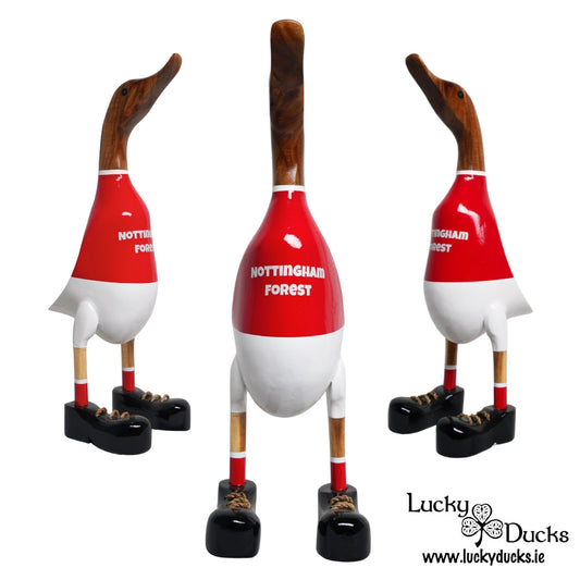 Nottingham Forest Duck
