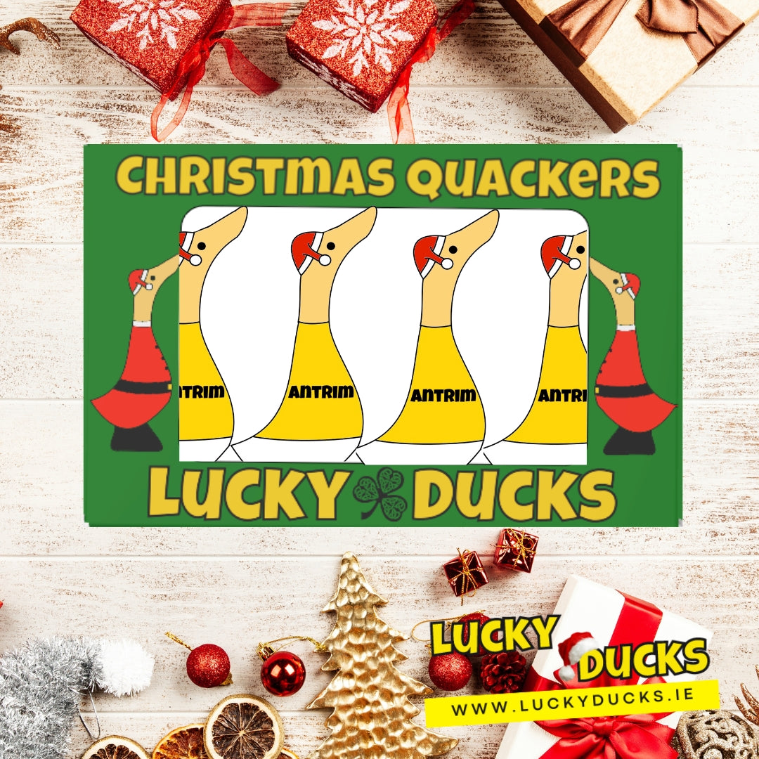 Antrim quacking Christmas set
