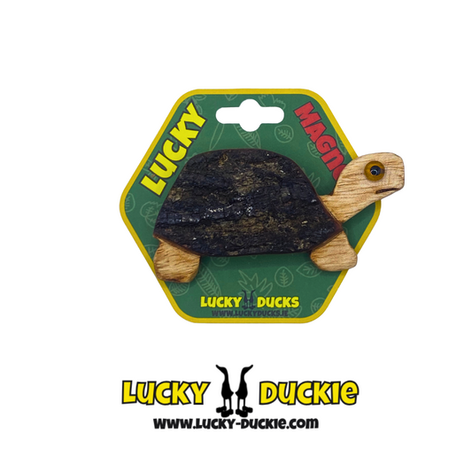 Timmy the Turtle Magnet
