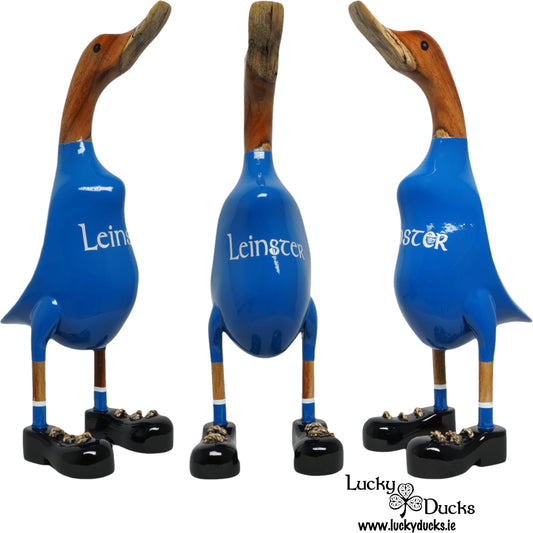 Leinster Duck